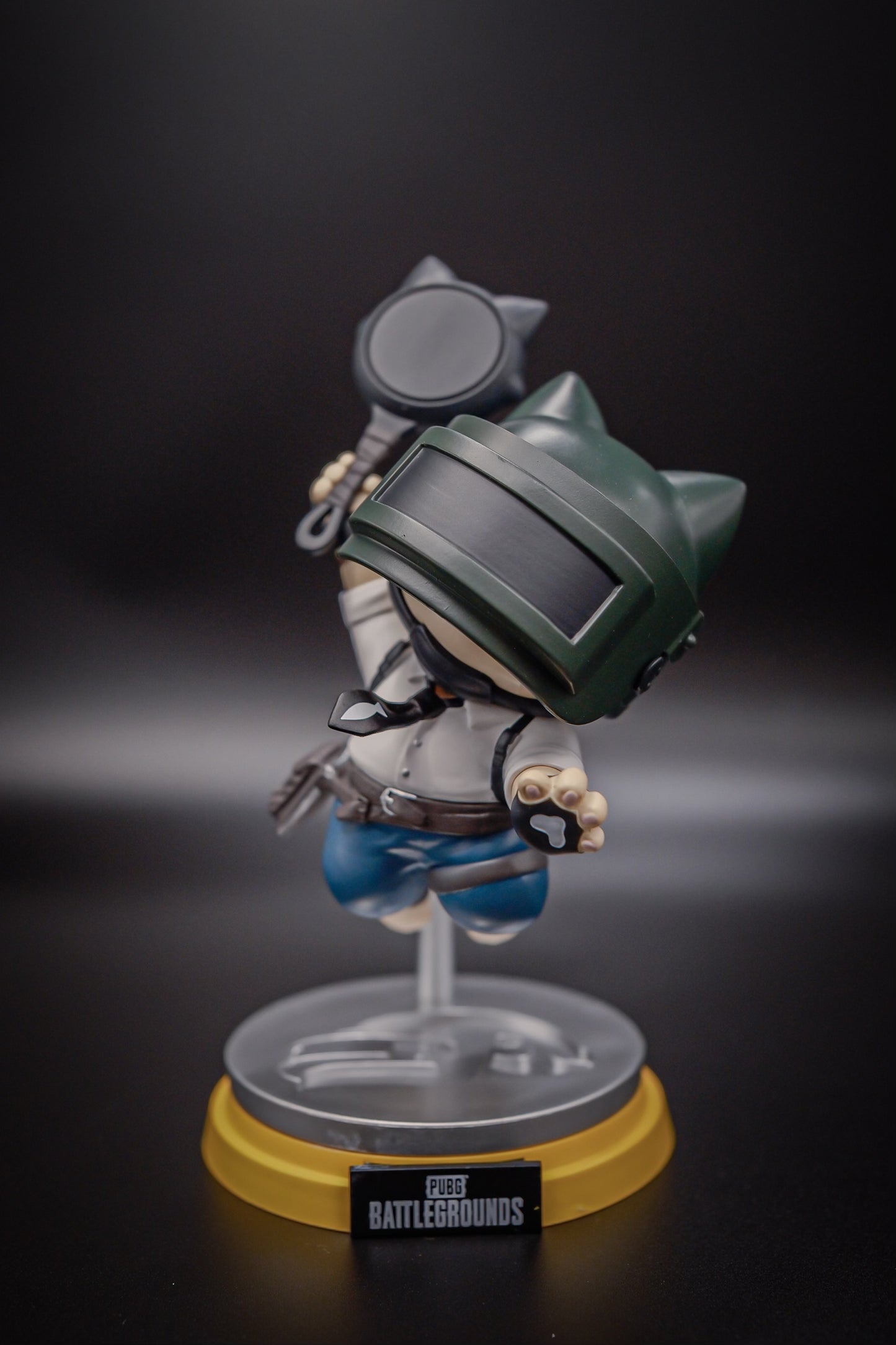 PUBG Player Cat