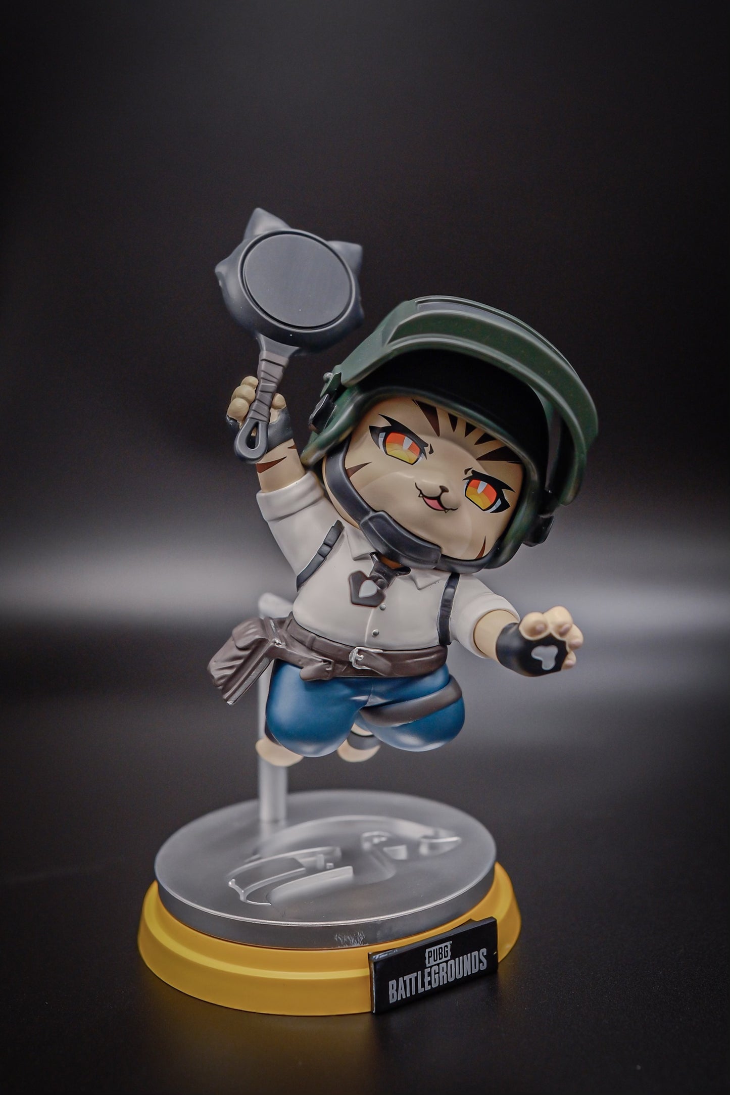PUBG Player Cat
